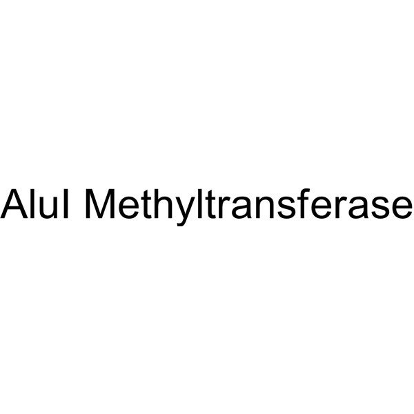 AluI Methyltransferase (AluI ) 92228-38-1
